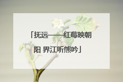 抚远——红莓映朝阳 界江听熊吟