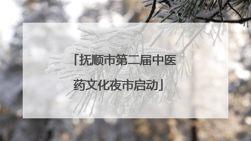抚顺市第二届中医药文化夜市启动