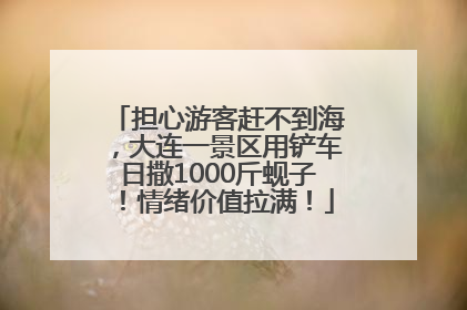 担心游客赶不到海，大连一景区用铲车日撒1000斤蚬子！情绪价值拉满！