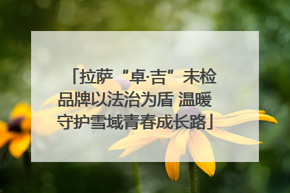 拉萨“卓·吉”未检品牌以法治为盾 温暖守护雪域青春成长路