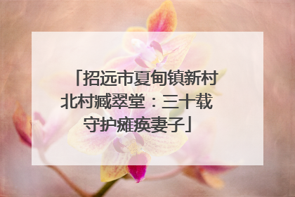 招远市夏甸镇新村北村臧翠堂：三十载守护瘫痪妻子