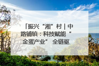 振兴“湘”村｜中路铺镇：科技赋能“金蛋产业” 全链驱动乡村振兴