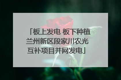 板上发电 板下种植 兰州新区段家川农光互补项目并网发电