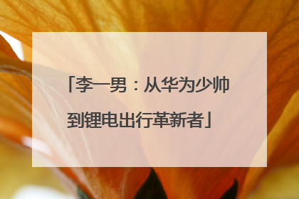 李一男：从华为少帅到锂电出行革新者