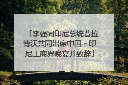 李强同印尼总统普拉博沃共同出席中国－印尼工商界晚宴并致辞