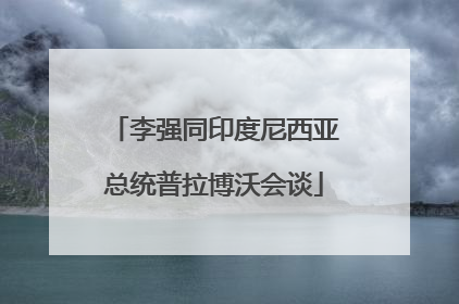 李强同印度尼西亚总统普拉博沃会谈