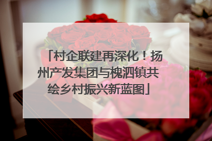 村企联建再深化！扬州产发集团与槐泗镇共绘乡村振兴新蓝图