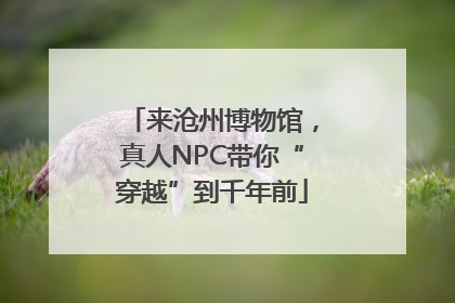 来沧州博物馆，真人NPC带你“穿越”到千年前