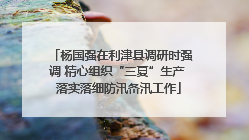 杨国强在利津县调研时强调 精心组织“三夏”生产 落实落细防汛备汛工作