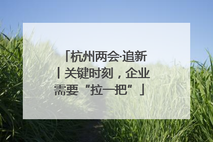 杭州两会·追新丨关键时刻，企业需要“拉一把”