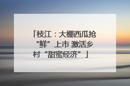 枝江：大棚西瓜抢“鲜”上市 激活乡村“甜蜜经济”