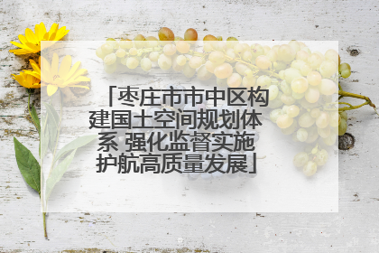枣庄市市中区构建国土空间规划体系 强化监督实施护航高质量发展