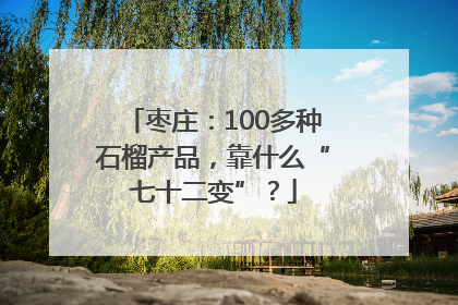 枣庄：100多种石榴产品，靠什么“七十二变”？