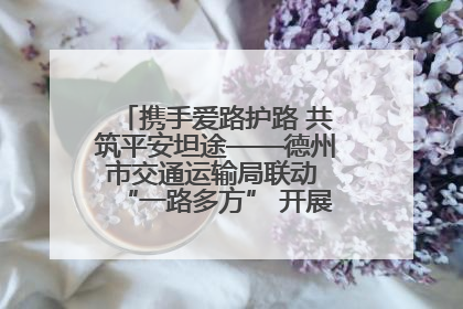 携手爱路护路 共筑平安坦途——德州市交通运输局联动 “一路多方” 开展路政宣传月活动