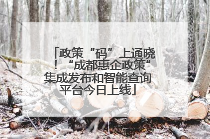 政策“码”上通晓！“成都惠企政策”集成发布和智能查询平台今日上线