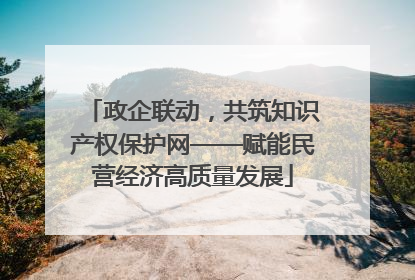 政企联动，共筑知识产权保护网——赋能民营经济高质量发展