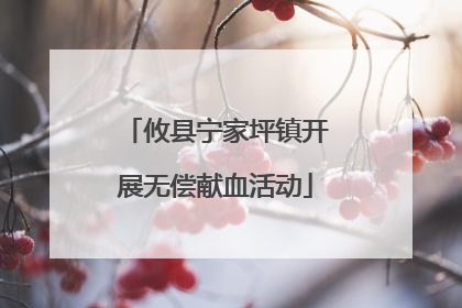 攸县宁家坪镇开展无偿献血活动