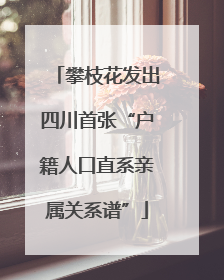 攀枝花发出四川首张“户籍人口直系亲属关系谱”