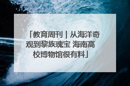 教育周刊｜从海洋奇观到黎族瑰宝 海南高校博物馆很有料