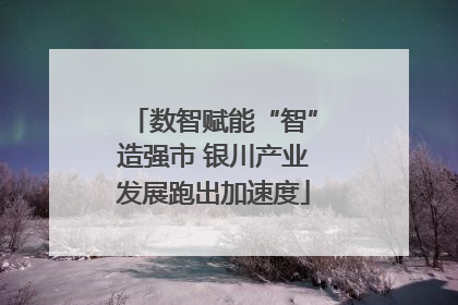 数智赋能“智”造强市 银川产业发展跑出加速度
