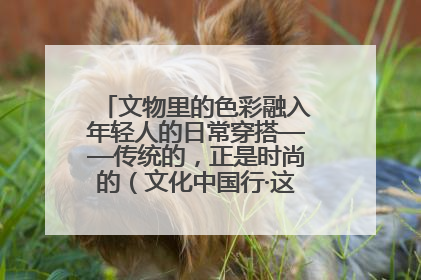 文物里的色彩融入年轻人的日常穿搭——传统的，正是时尚的（文化中国行·这些美 很中国）