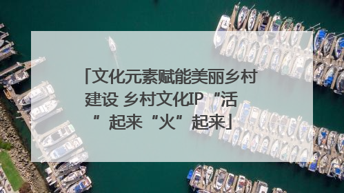 文化元素赋能美丽乡村建设 乡村文化IP“活”起来“火”起来