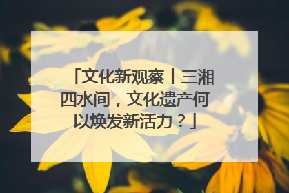 文化新观察丨三湘四水间，文化遗产何以焕发新活力？