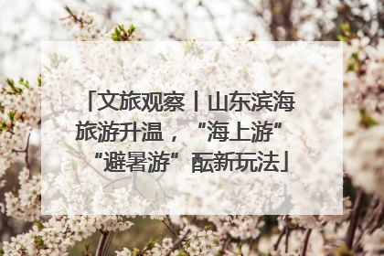 文旅观察丨山东滨海旅游升温，“海上游”“避暑游”酝新玩法