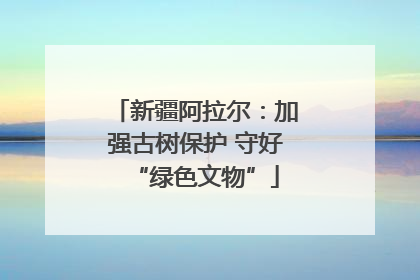 新疆阿拉尔：加强古树保护 守好“绿色文物”