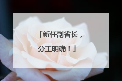 新任副省长，分工明确！