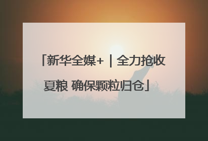 新华全媒+｜全力抢收夏粮 确保颗粒归仓