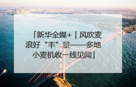 新华全媒+｜风吹麦浪好“丰”景——多地小麦机收一线见闻
