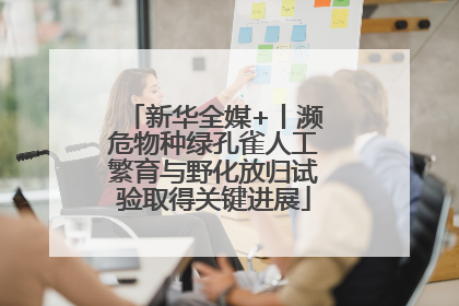 新华全媒+丨濒危物种绿孔雀人工繁育与野化放归试验取得关键进展