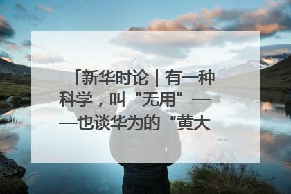 新华时论｜有一种科学，叫“无用”——也谈华为的“黄大年茶思屋”
