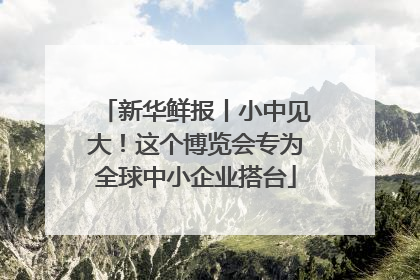 新华鲜报丨小中见大！这个博览会专为全球中小企业搭台