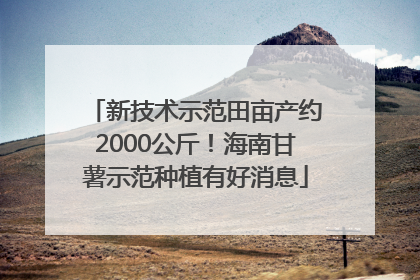 新技术示范田亩产约2000公斤！海南甘薯示范种植有好消息