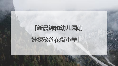 新晨锦和幼儿园萌娃探秘莲花街小学