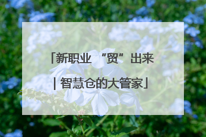 新职业 “贸”出来｜智慧仓的大管家