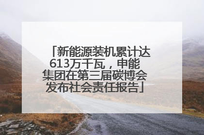 新能源装机累计达613万千瓦，申能集团在第三届碳博会发布社会责任报告
