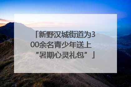 新野汉城街道为300余名青少年送上“暑期心灵礼包”