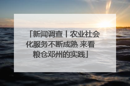 新闻调查丨农业社会化服务不断成熟 来看粮仓邓州的实践