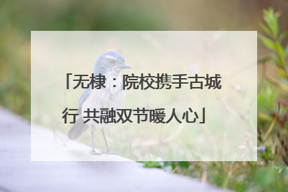 无棣：院校携手古城行 共融双节暖人心