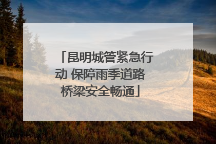 昆明城管紧急行动 保障雨季道路桥梁安全畅通