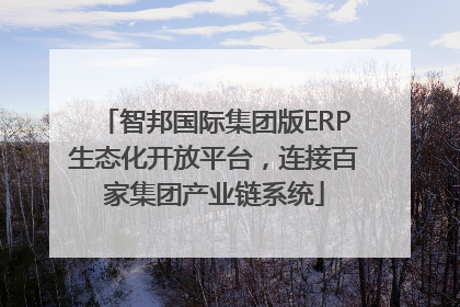 智邦国际集团版ERP生态化开放平台，连接百家集团产业链系统