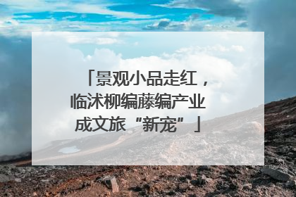 景观小品走红，临沭柳编藤编产业成文旅“新宠”