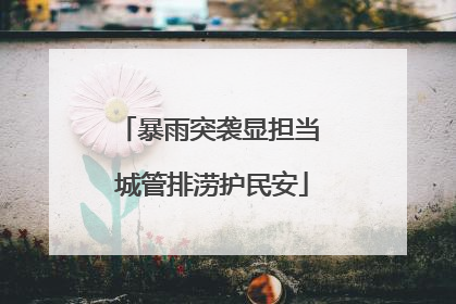 暴雨突袭显担当 城管排涝护民安