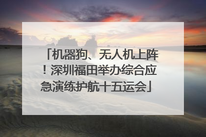 机器狗、无人机上阵！深圳福田举办综合应急演练护航十五运会
