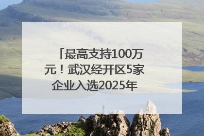 最高支持100万元！武汉经开区5家企业入选2025年度武汉市重点研发计划拟立项项目名单