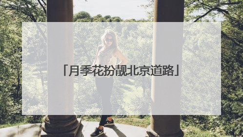 月季花扮靓北京道路