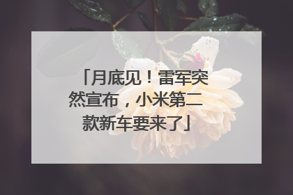 月底见！雷军突然宣布，小米第二款新车要来了